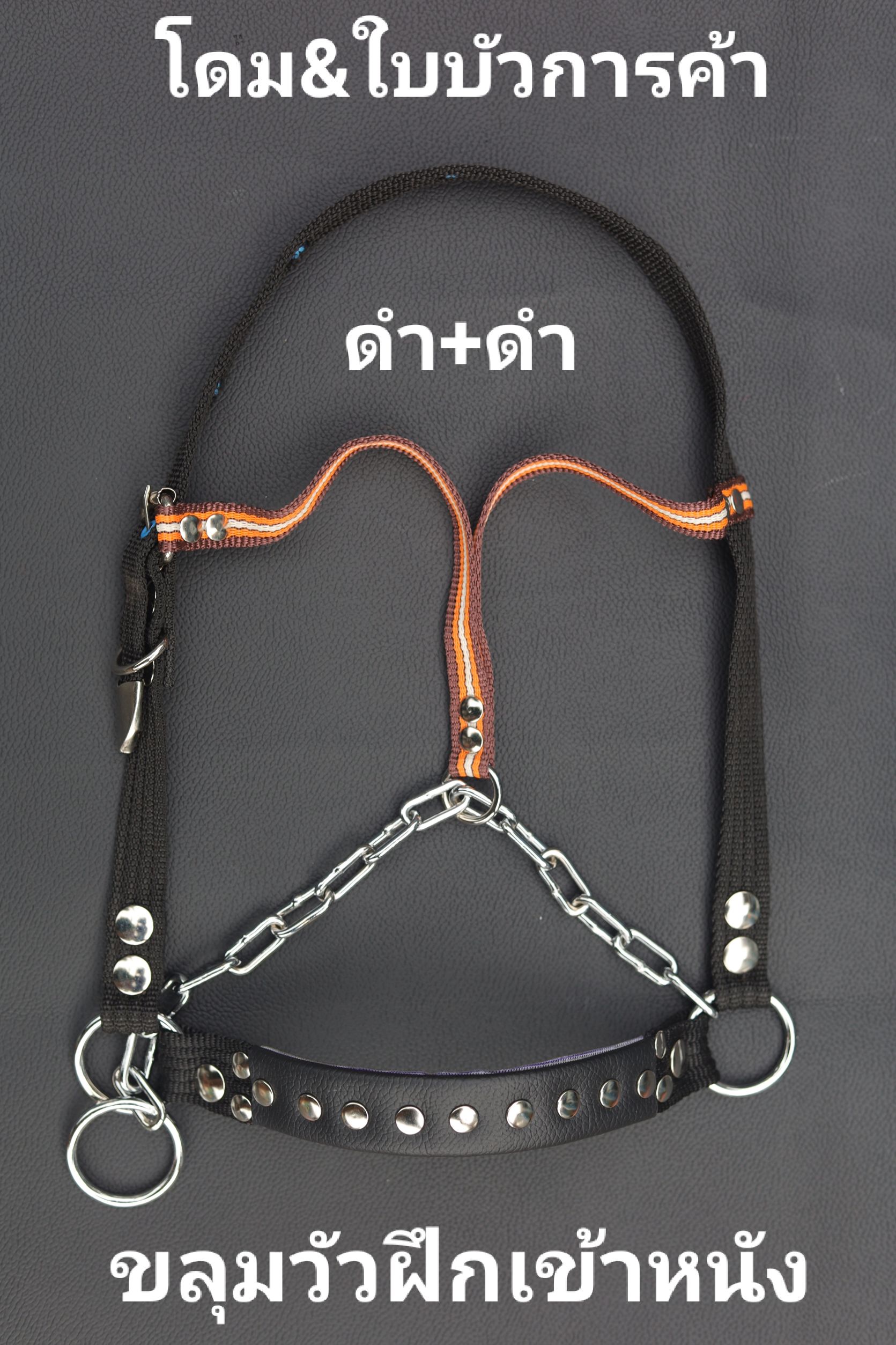 ขลุมวัวฝึกเข้าหนังS