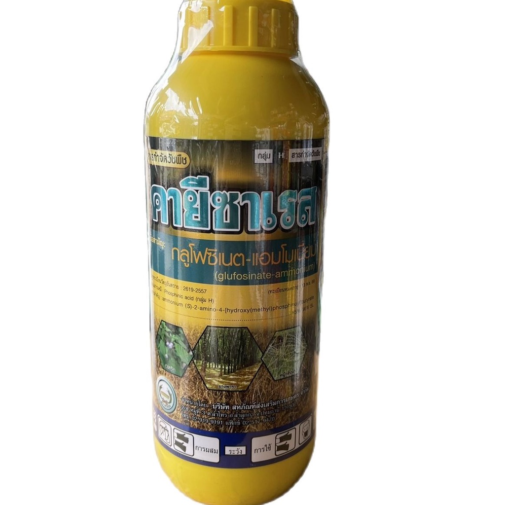 คายีซาเรสหวีทอง1L*12