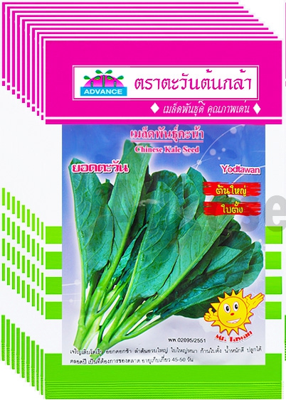 คะน้ายอดตะวันAV(V29)