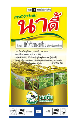 นาดี้นกเงือก250CC*24