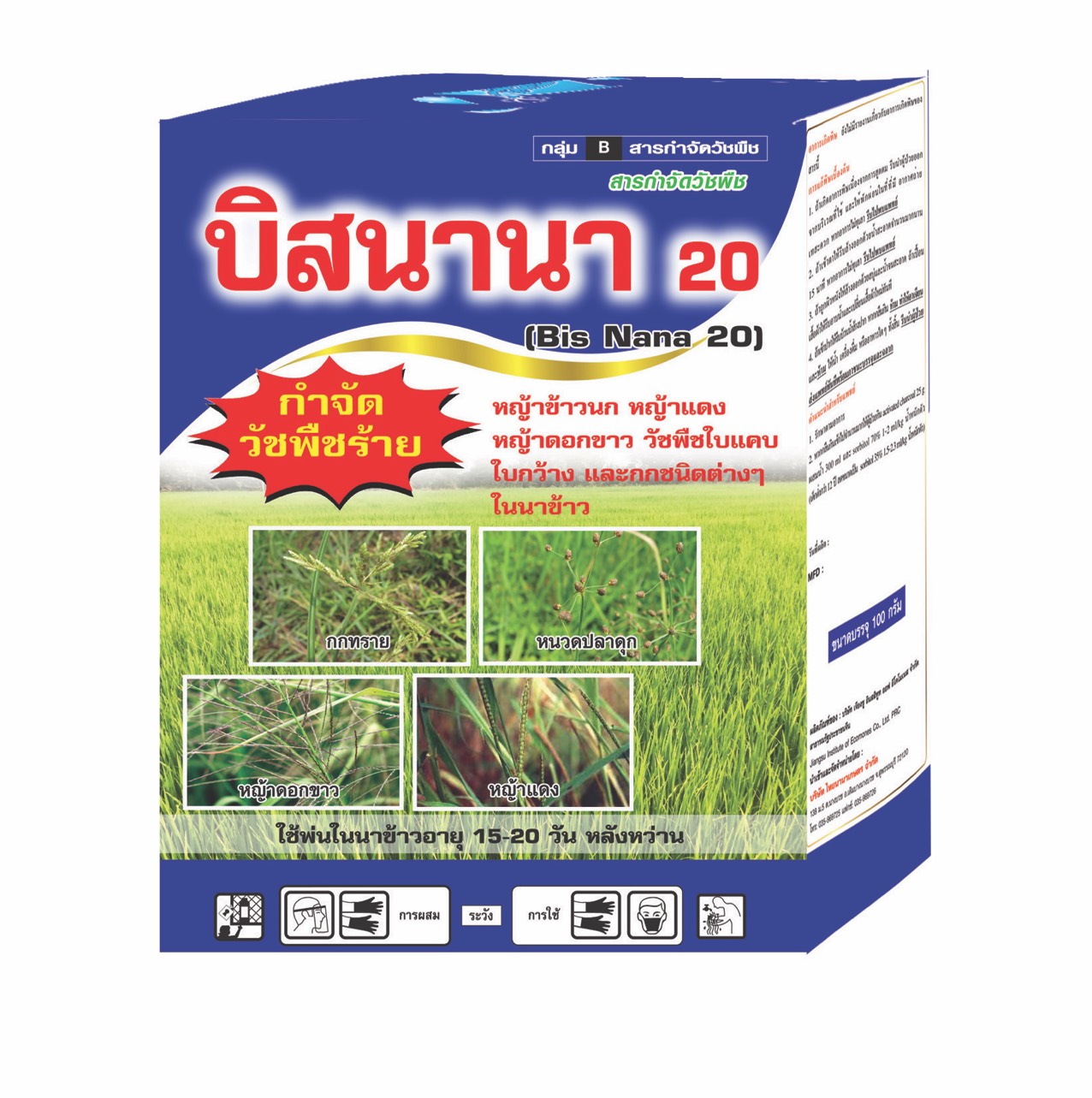 บิสนานา20+จับใบ100G*60
