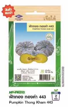  ฟักทองทองคำ443F1เจียไต๋*100