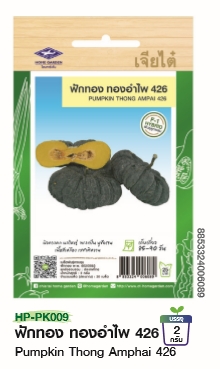 ฟักทองทองอำไพ426F1เจียไต๋*100