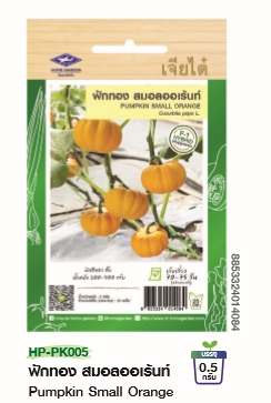 ฟักทองสมอลออเร้นท์F1เจียไต๋*100