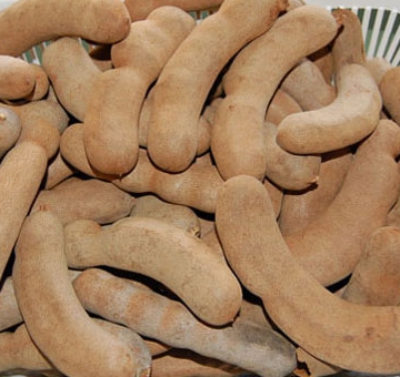 มะขามหวานประกายทอง