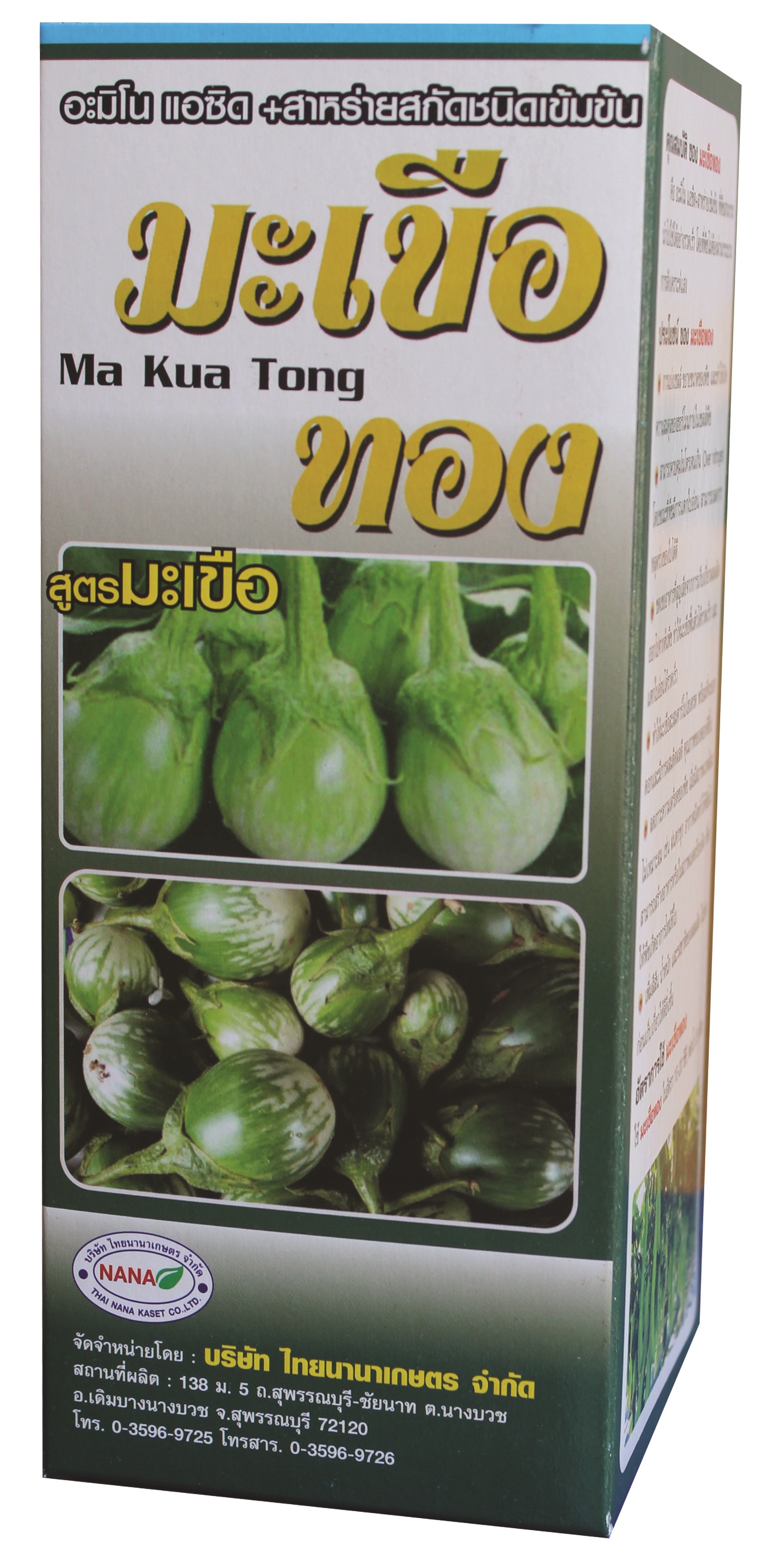 มะเขือทอง1L*12