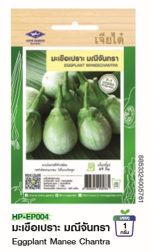 มะเขือเปราะมณีจันทราF1เจียไต๋*100