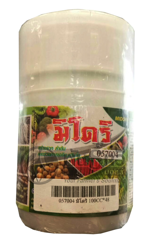 มิโดริ   100CC*40