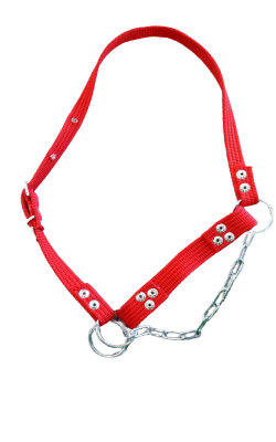 สายคล้องสัตว์กลาง(ขุม)