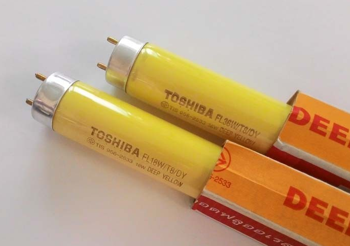 หลอดLED เหลือง TOSHIBA 36WT8*30