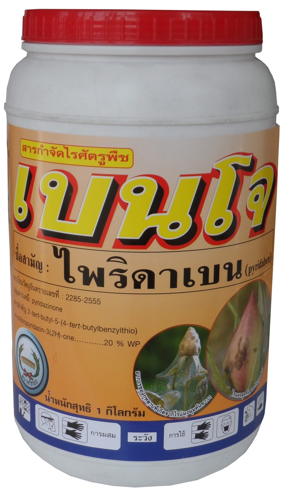 เบนโจหวีทอง500G*12