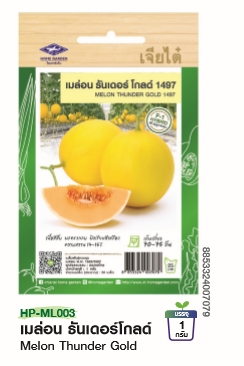 เมล่อนธันเดอร์โกลด์1497F1เจียไต๋*100
