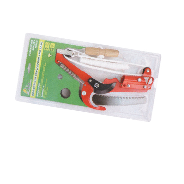 กก.กระตุกกิ่งไม้แดง 