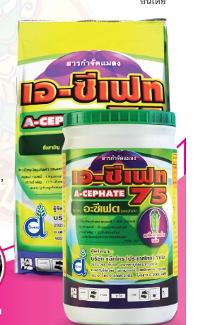 เอ-ซีเฟท75% 250G*24
