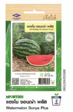 แตงโมซอนญ่าพลัสF1เจียไต๋*100