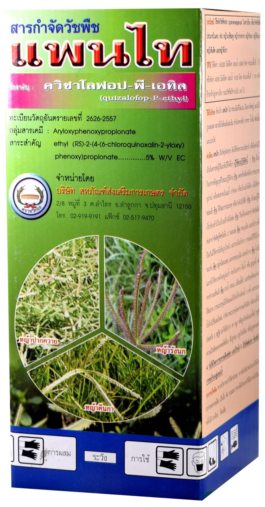 แพนไท หวีทอง500CC*12