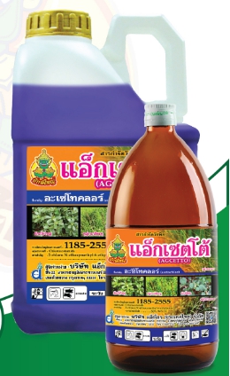 แอ็กเซตโต้ยักษ์ใหญ่1L*12