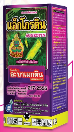 แอ็กโกรตินยักษ์ใหญ่500CC*24