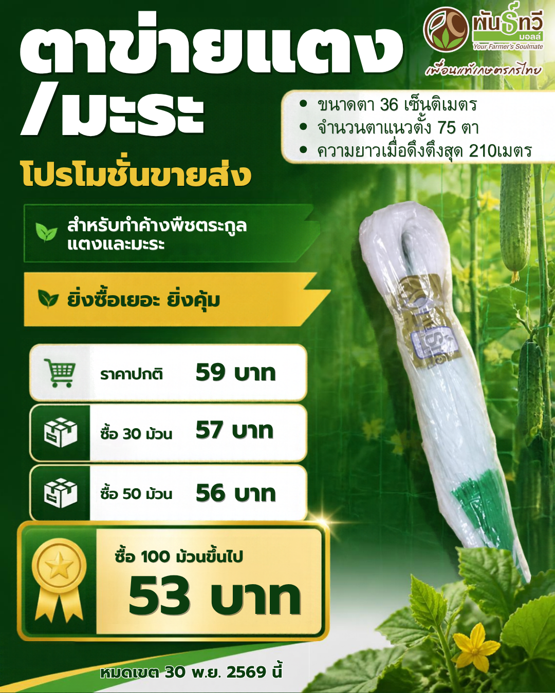 ตาข่ายแตง ขายส่ง10/69